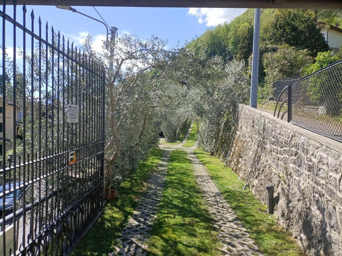 Oliveto LarioCasa Delle Olive 1公寓 外观 照片