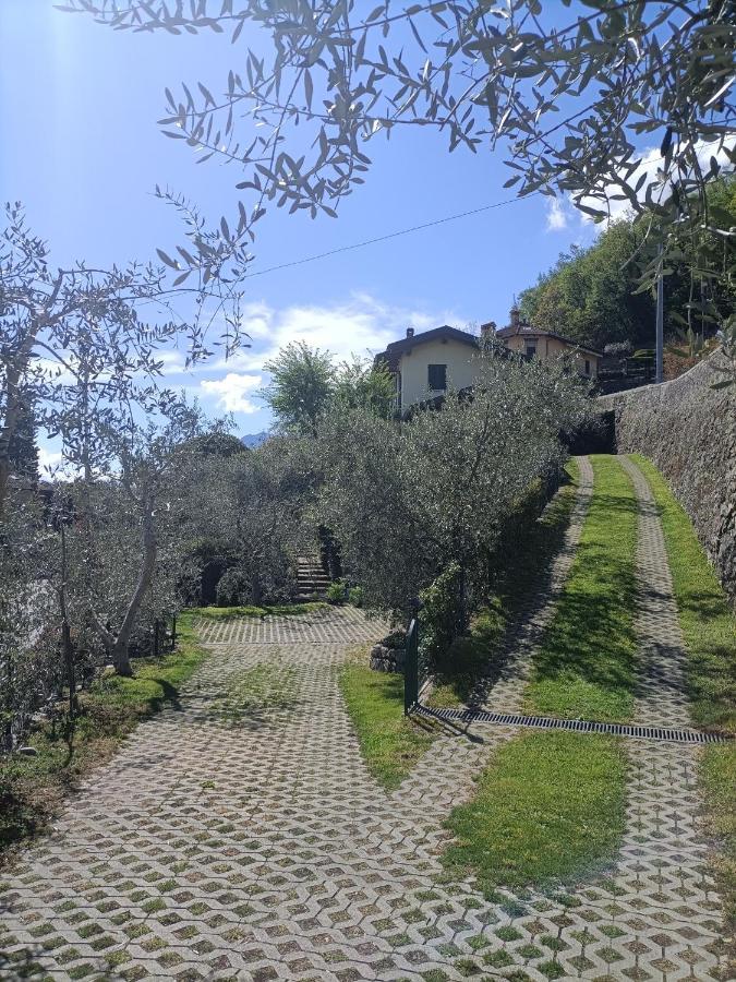 Oliveto LarioCasa Delle Olive 1公寓 外观 照片